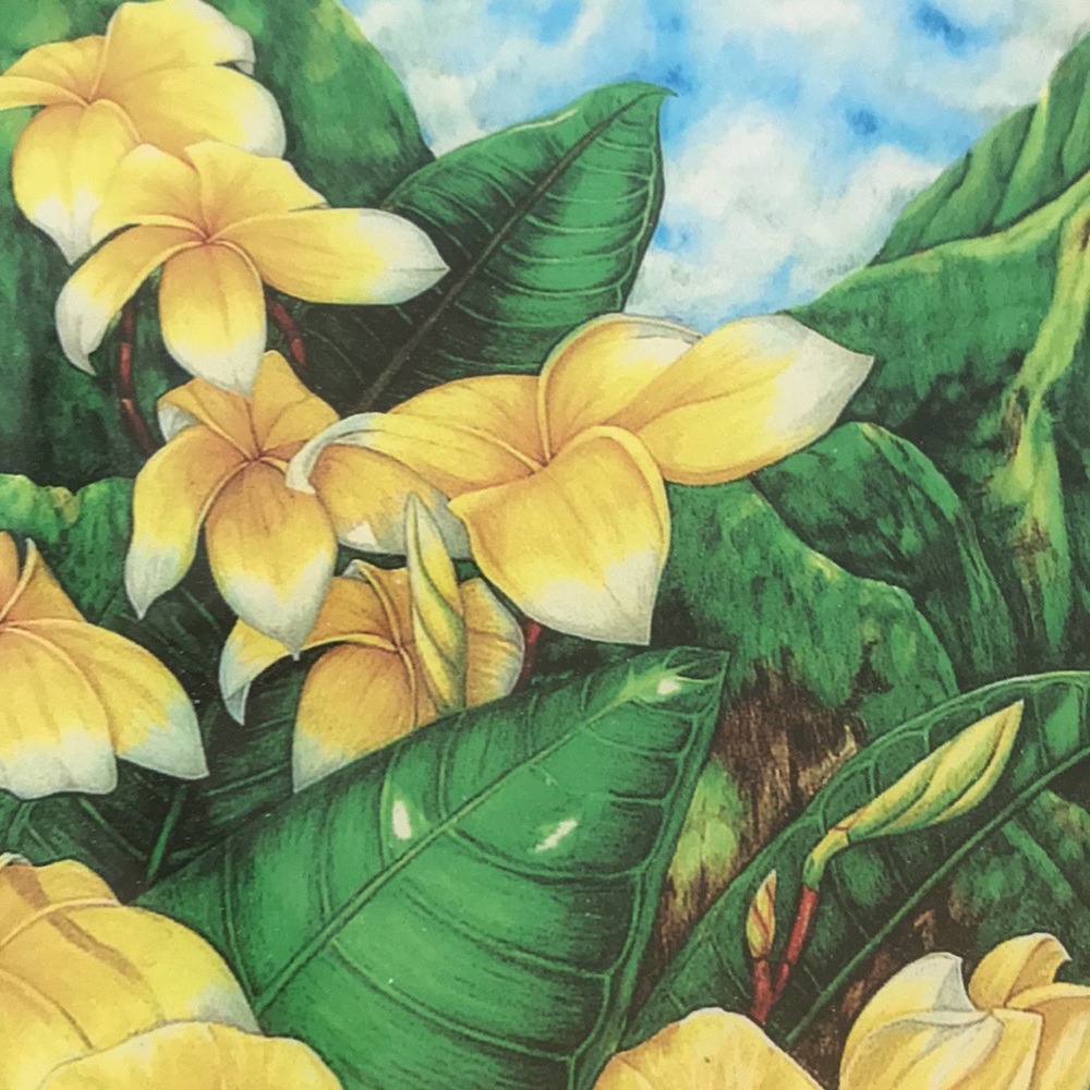 LIMITED EDITION SIGNED AND FRAMED HAWAIIAN PRINT - Picture 4 of 5